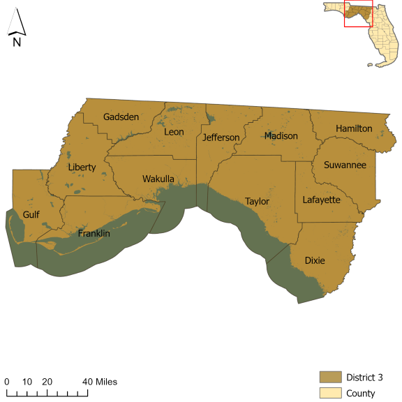 Florida Senate District 3
