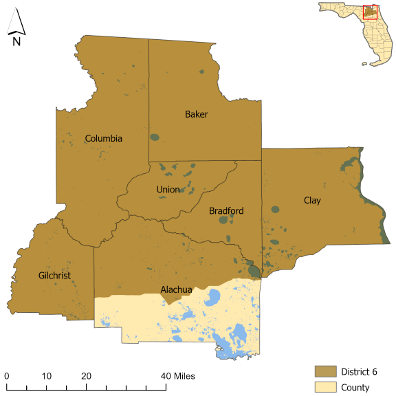 Florida Senate District 6