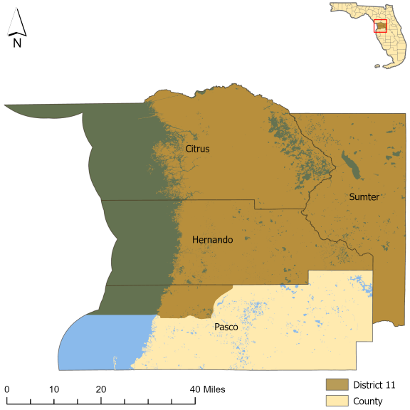 Florida Senate District 11