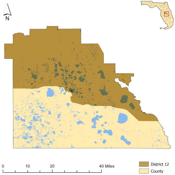 Florida Senate District 12
