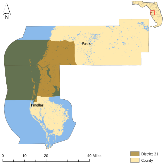 Florida Senate District 21