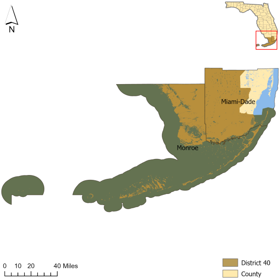 Florida Senate District 40